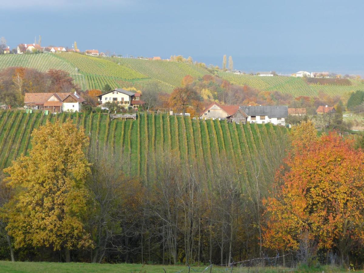 Auszeit Ferienhaus für 6 Personen ,mit großer Terrasse und Panoramablick, Turracher Höhe -A1 Haus 436 a links- Exterior foto